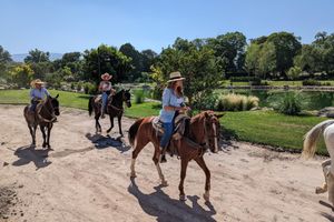 Actividad - Disfruta de un paseo único a caballo por el viñedo con cata de vinos
