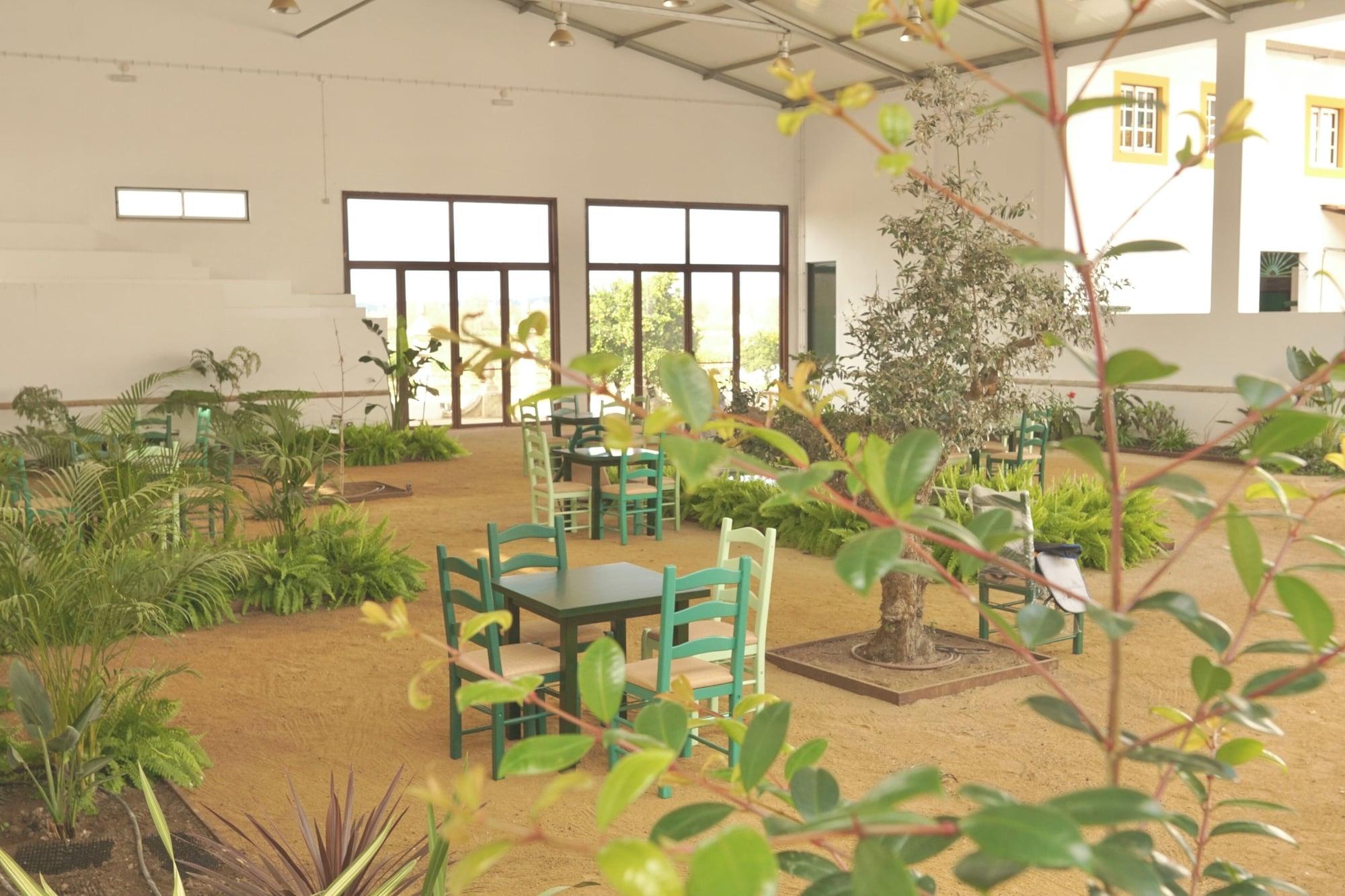 Varios Pátio das Ribeiras