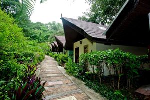 Alojamiento - Paradise Pearl Bungalows