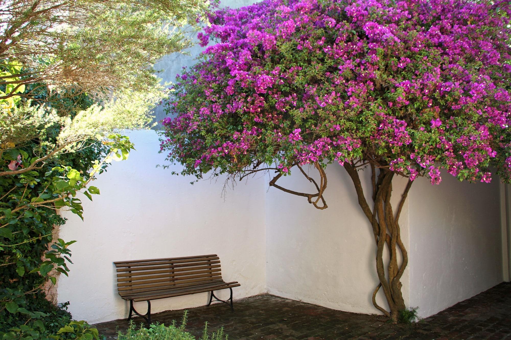 Comodidades del Alojamiento La Manuel Lobo Posada