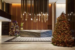 Alojamiento - Thompson Dallas