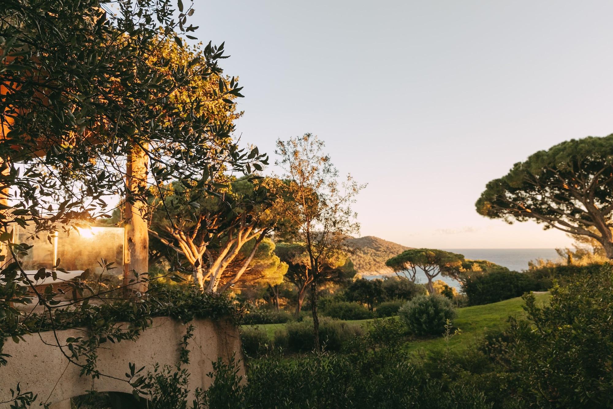 Vista Exterior Lily of the Valley