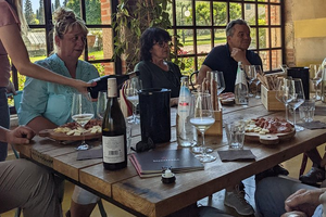 Actividad - Desde el lago de Garda: vino de Valpolicella y almuerzo.