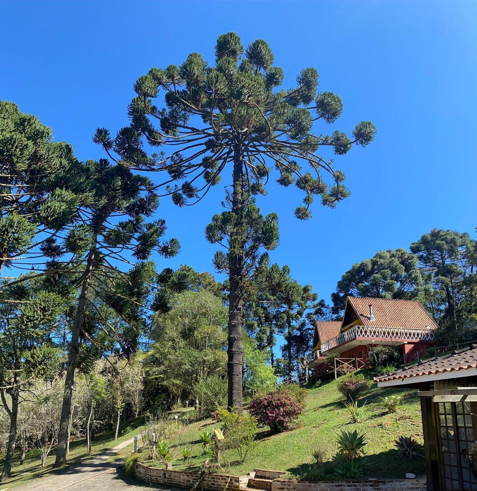 Vista Exterior Pousada Sotaque Mineiro