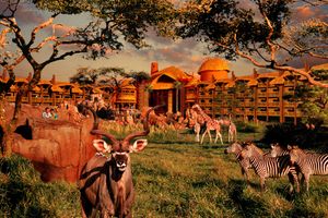 Alojamiento - Disney's Animal Kingdom Villas-Kidani Village