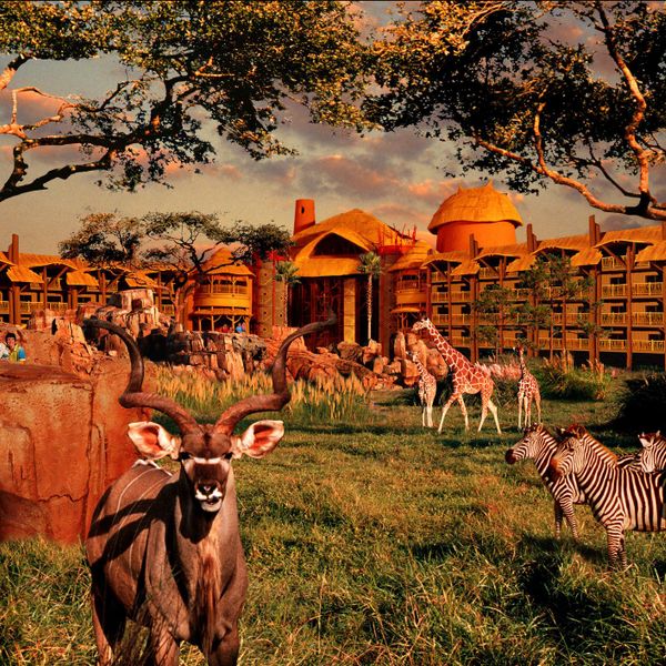 Disney’s Animal Kingdom Villas-Kidani Village