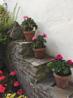 Alquiler Vacacional - Beautiful Victorian House/pretty garden/ central location.<br>Beach/sea/castles