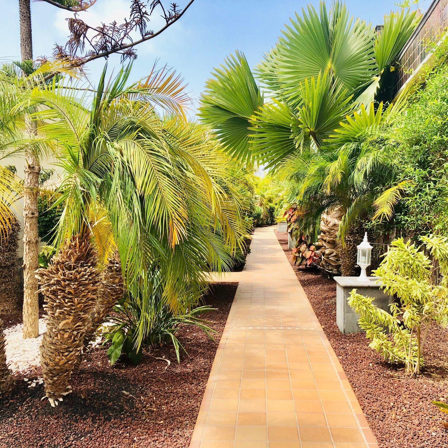 Vista Exterior Holiday Club Playa Amadores