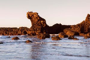 Actividad - Excursión a Puerto La Libertad y El Tunco