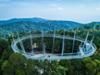 Passeio - The Habitat Penang Hill: Rainforest Discovery and Canopy Walk Ticket