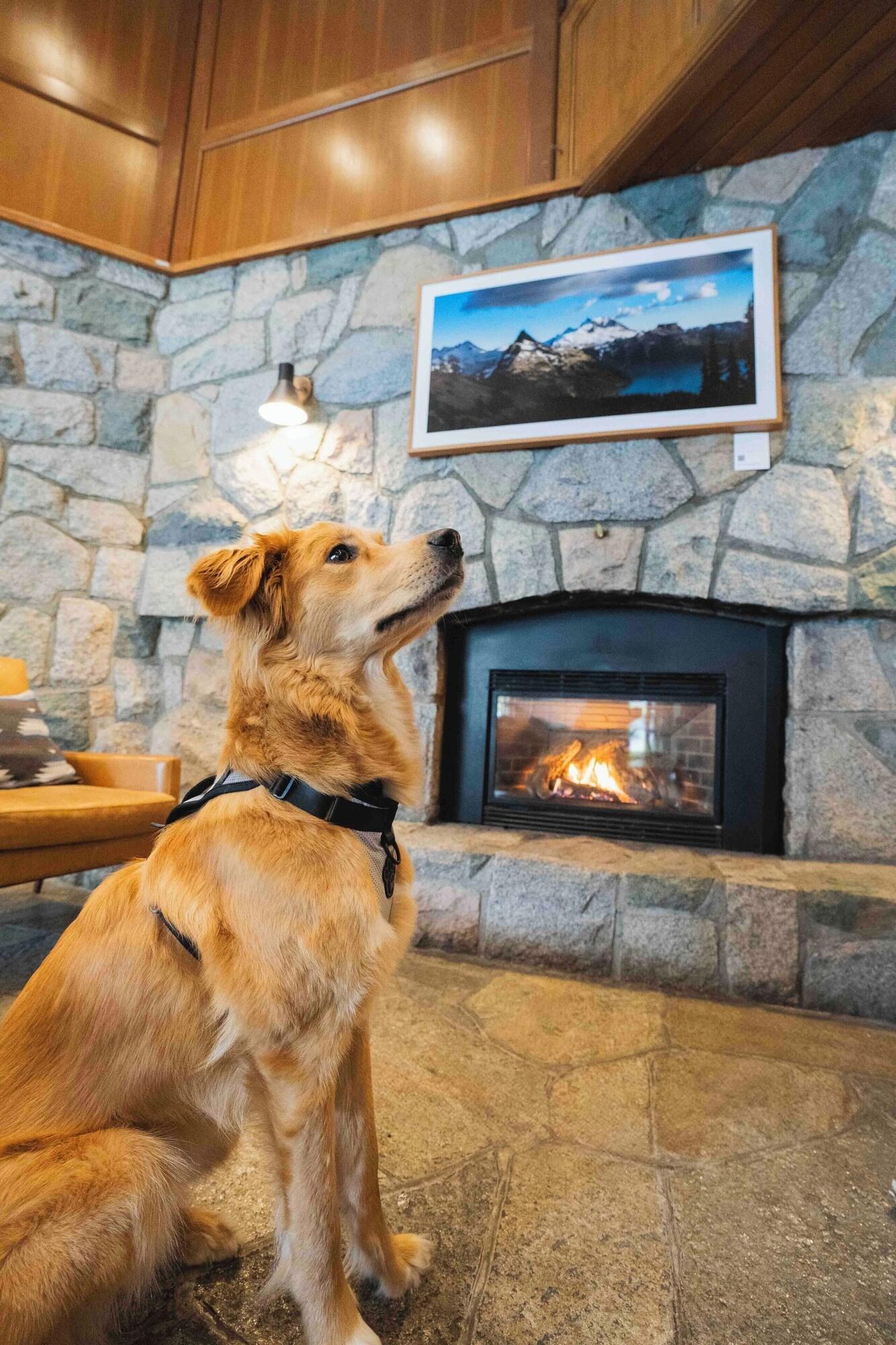 Vista Lobby Adara Hotel