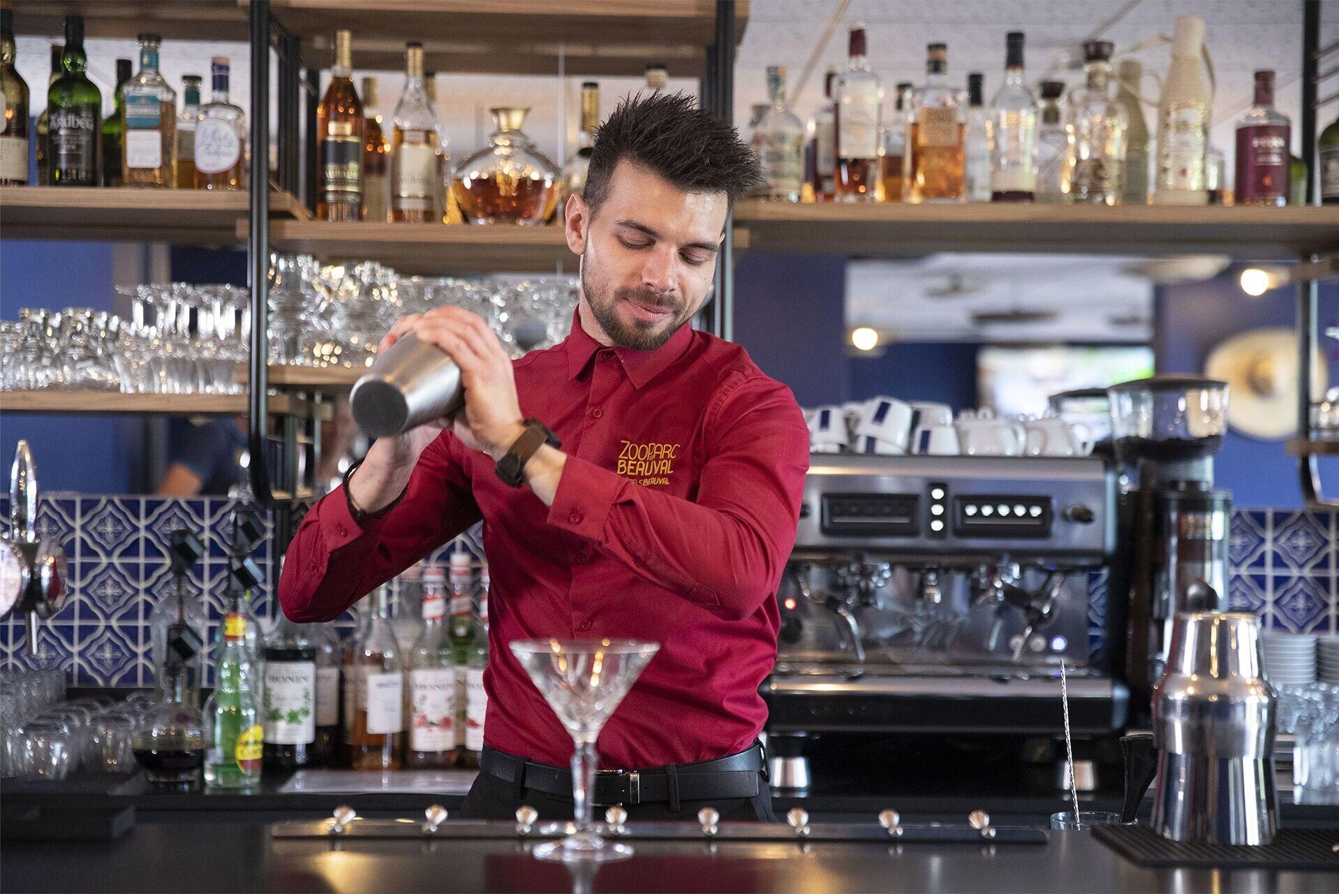 Bar/Salón Les Rivages de Beauval