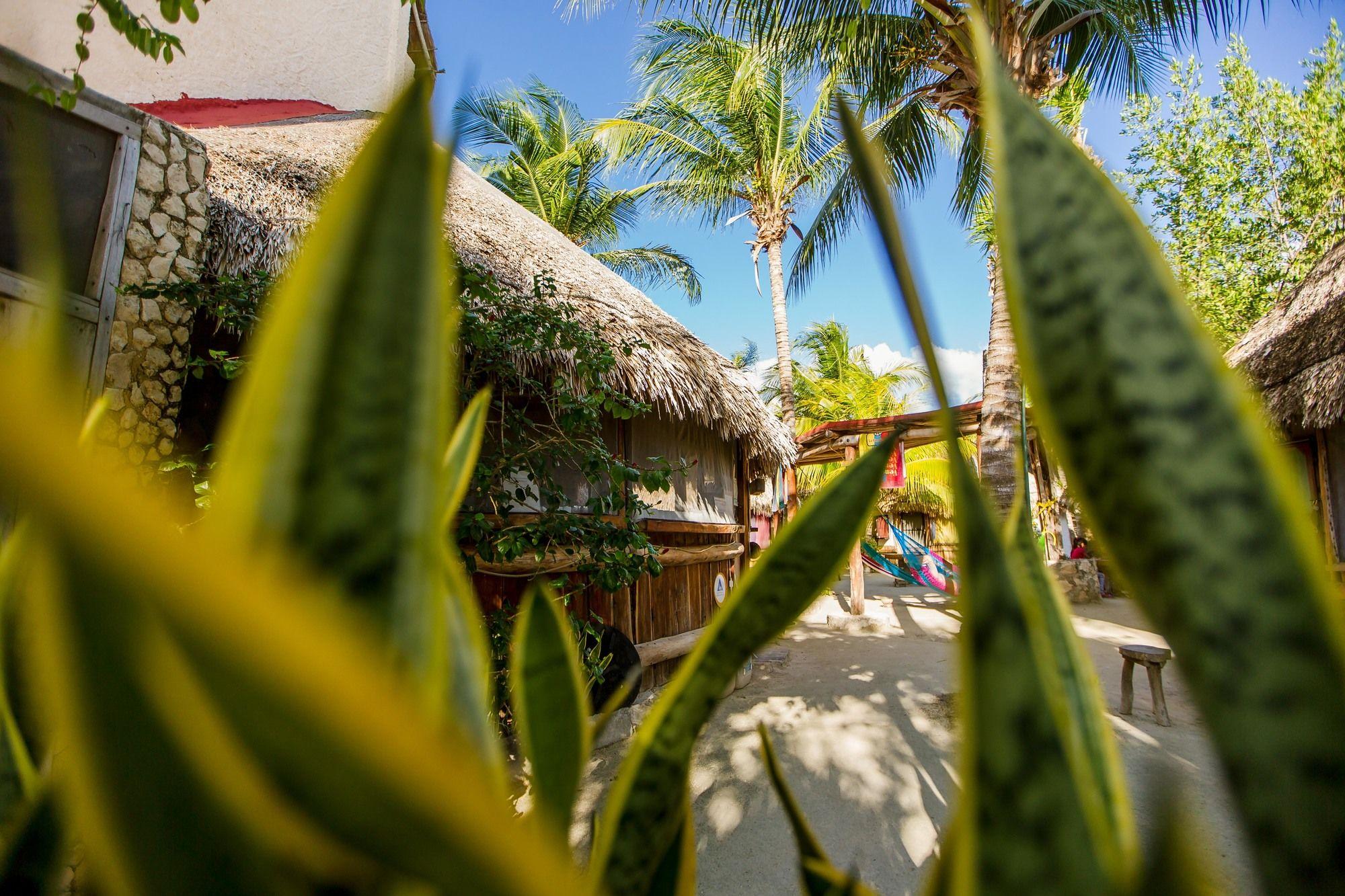 Bar/Salón Hostel & Cabañas Ida y Vuelta Camping