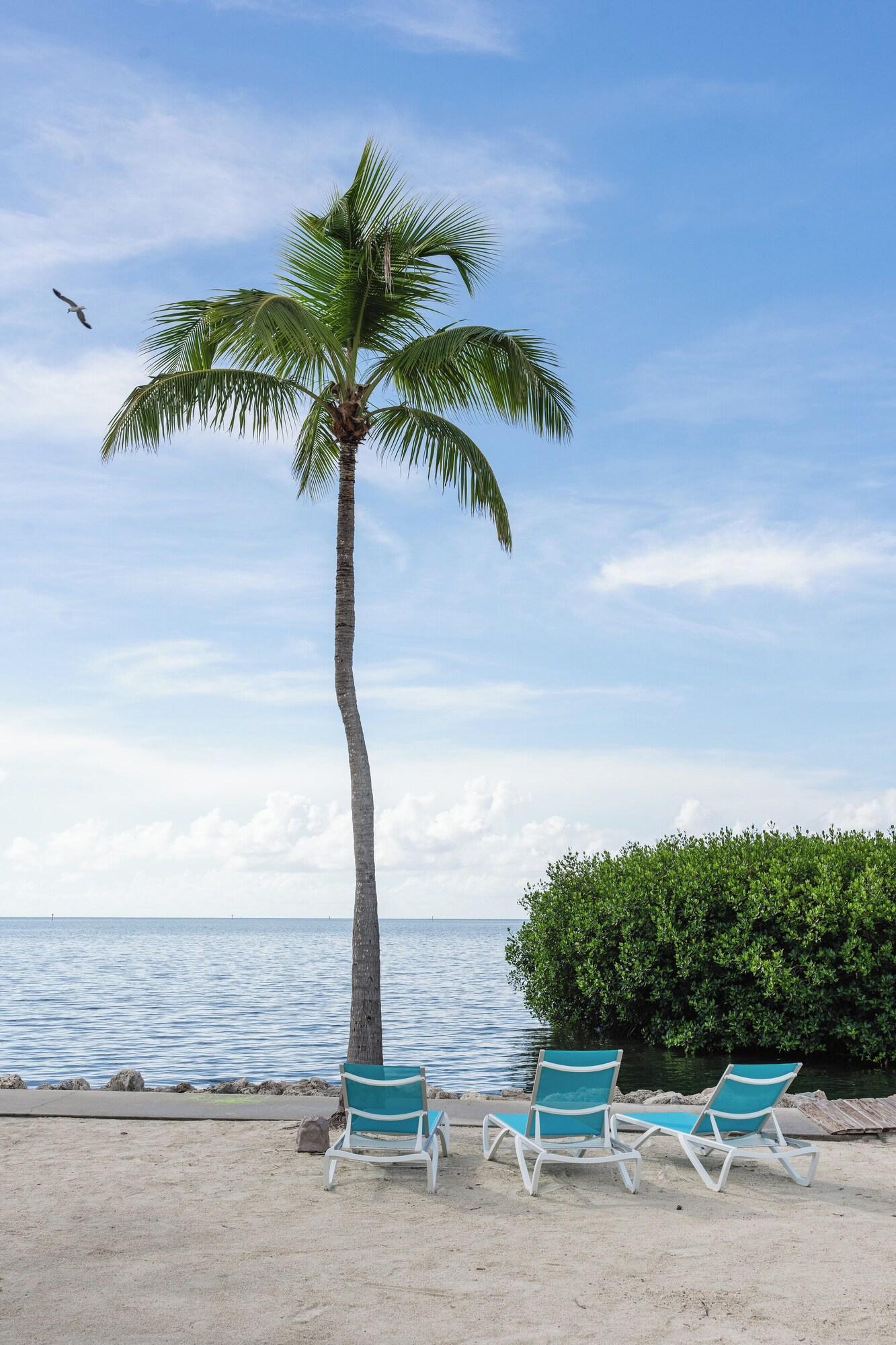 Playa Fisher Inn