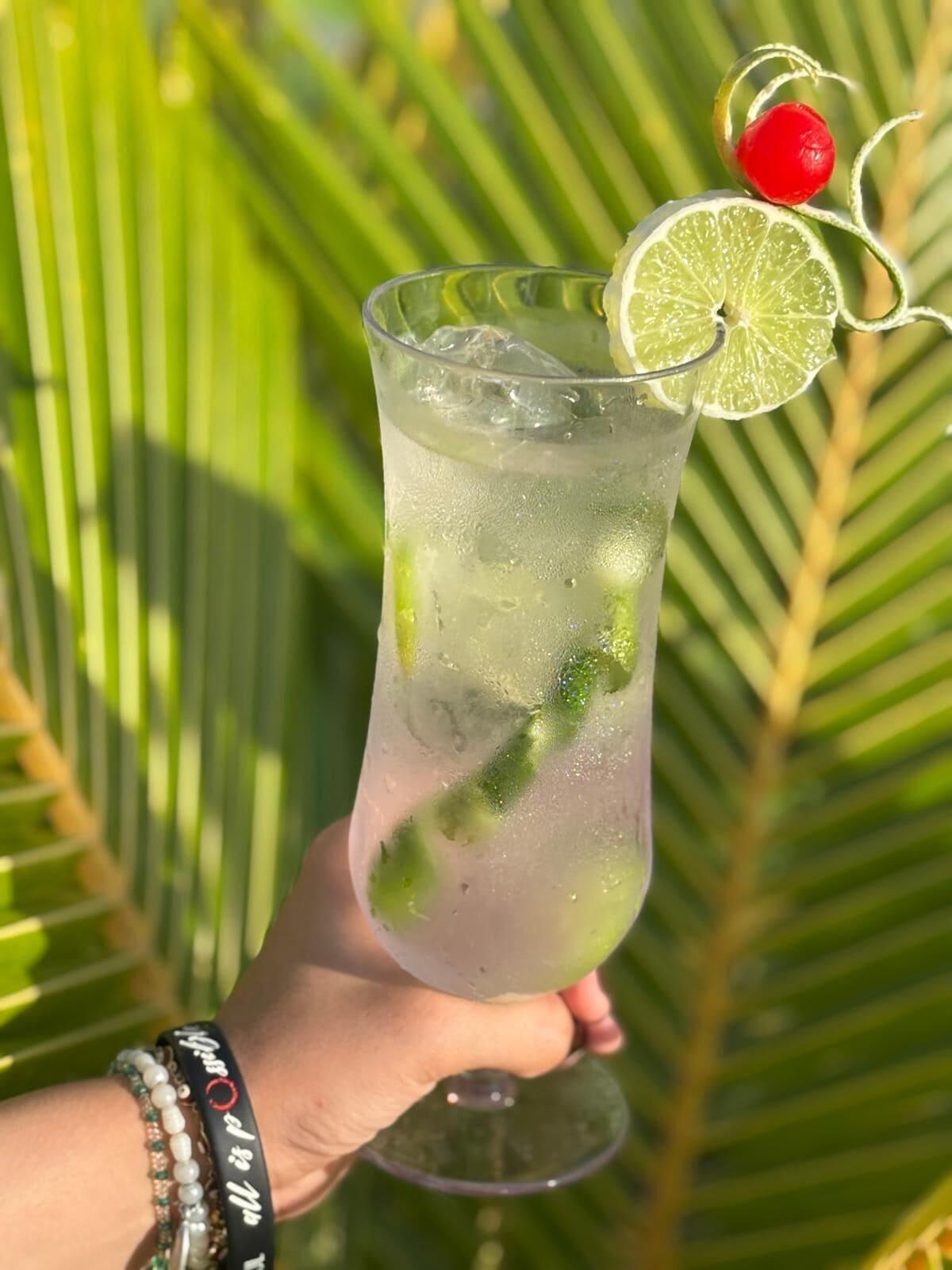 Bar/Salón HOTEL VILLA TOTI