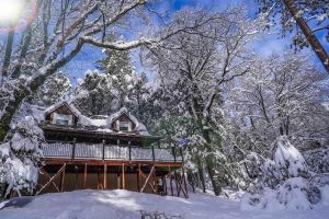 Arriendo temporal -  Tahoe Retreat Cabin, Tesla EV, Forest Escape