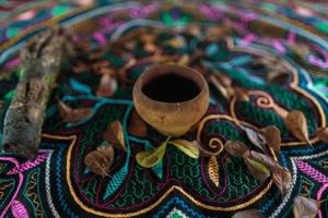 Actividad - Experiencia Ayahuasca: 1 Sesión nocturna