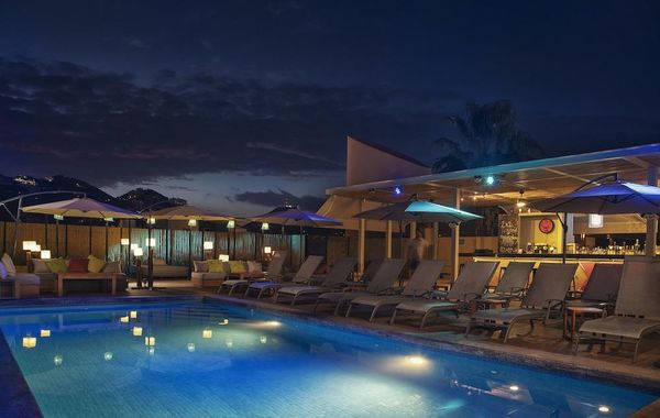 Mayan Monkey Los Cabos - Hostel - Adults Only - Hoteles pet friendly en Cabo San Lucas