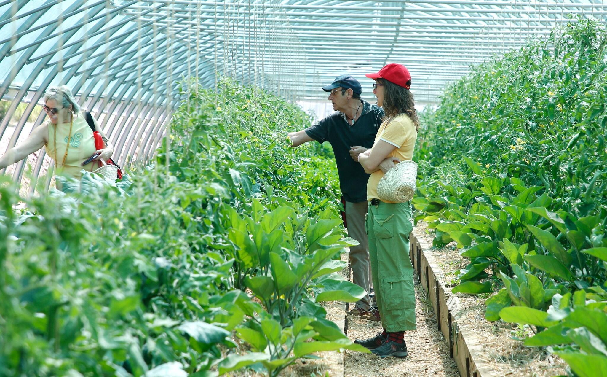 Instalaciones Recreativas Cerdanya Viva Ecoestades