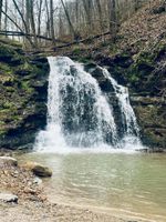 Alquiler Vacacional - Huckleberry Trail House-