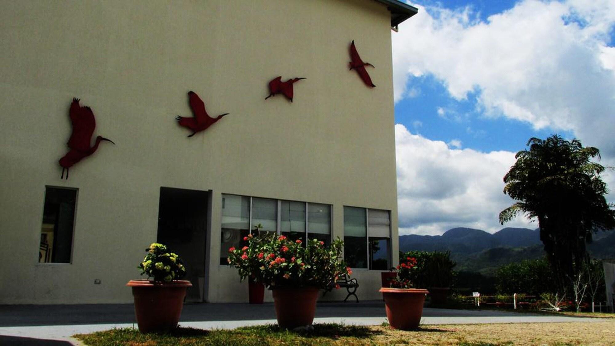 Vista Exterior Hotel Montserrat Plaza