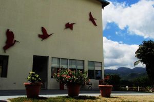 Alojamiento - Hotel Montserrat Plaza