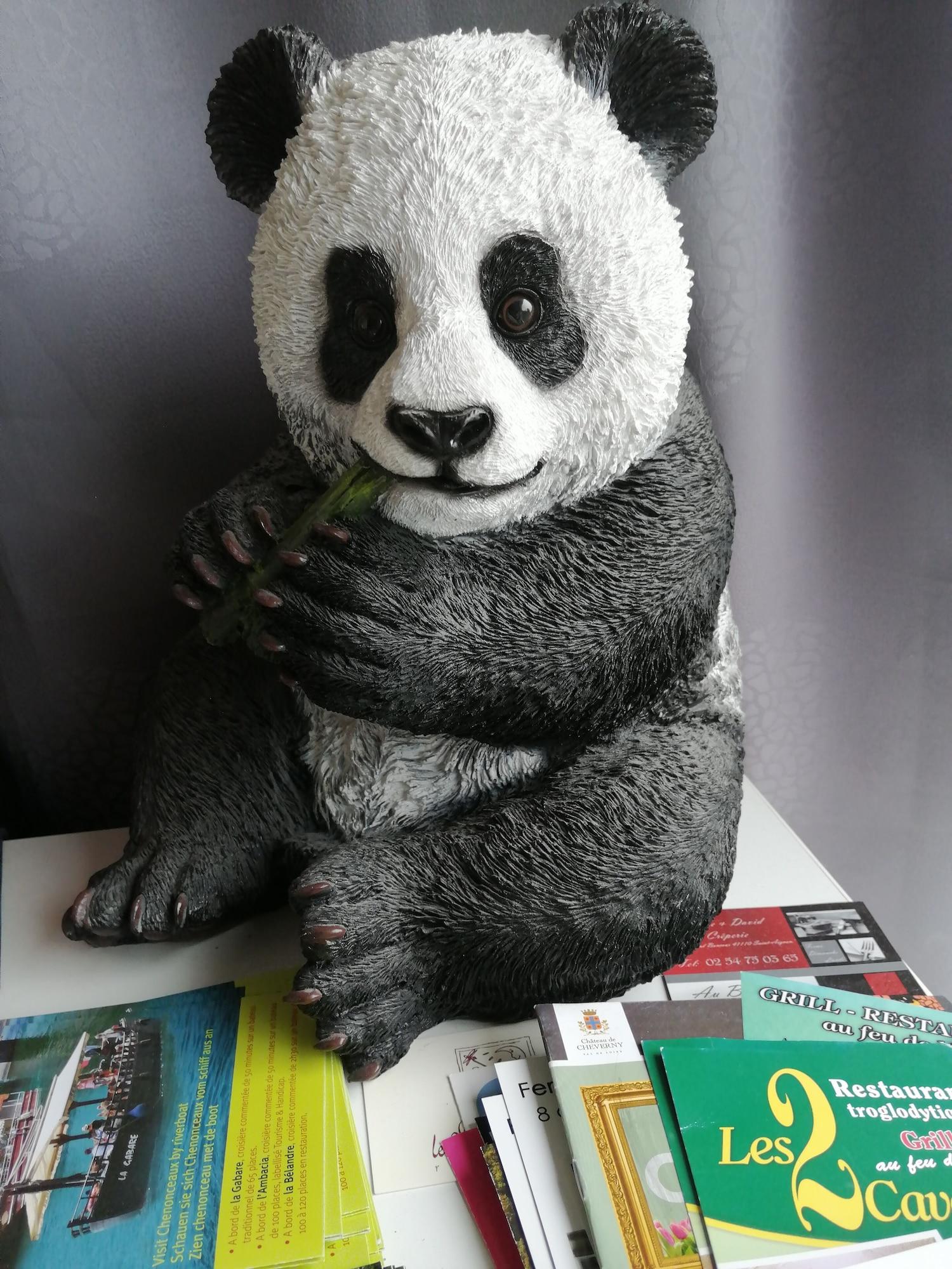 Comodidades del Alojamiento Chambre et Appartement Zen de Beauval