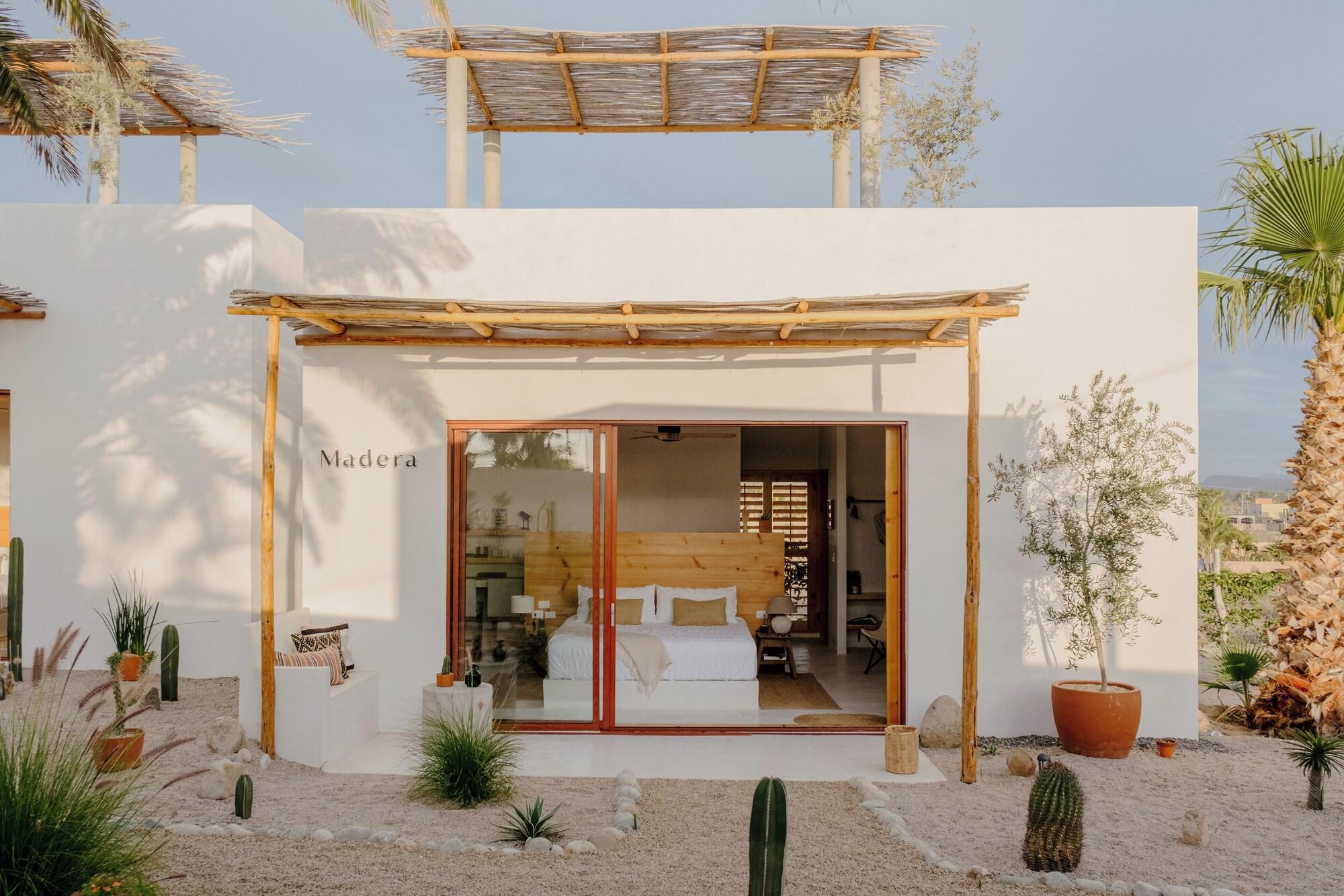 Varios CASA BLANCO MADERA (ADULTS ONLY)