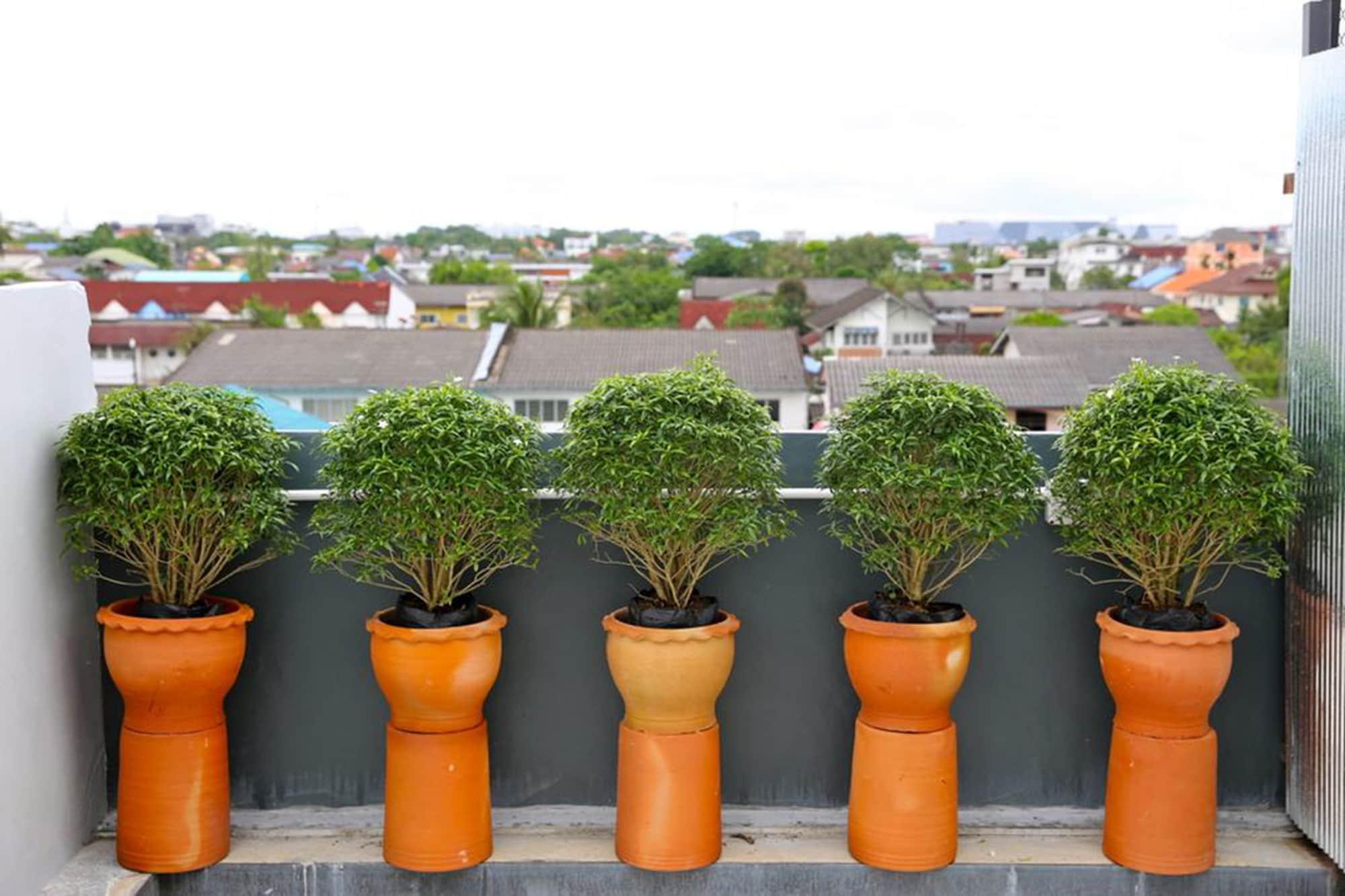 Vista Exterior The Plug Hotel