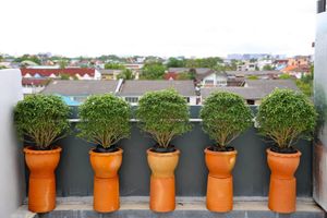 Alojamiento - The Plug Hotel