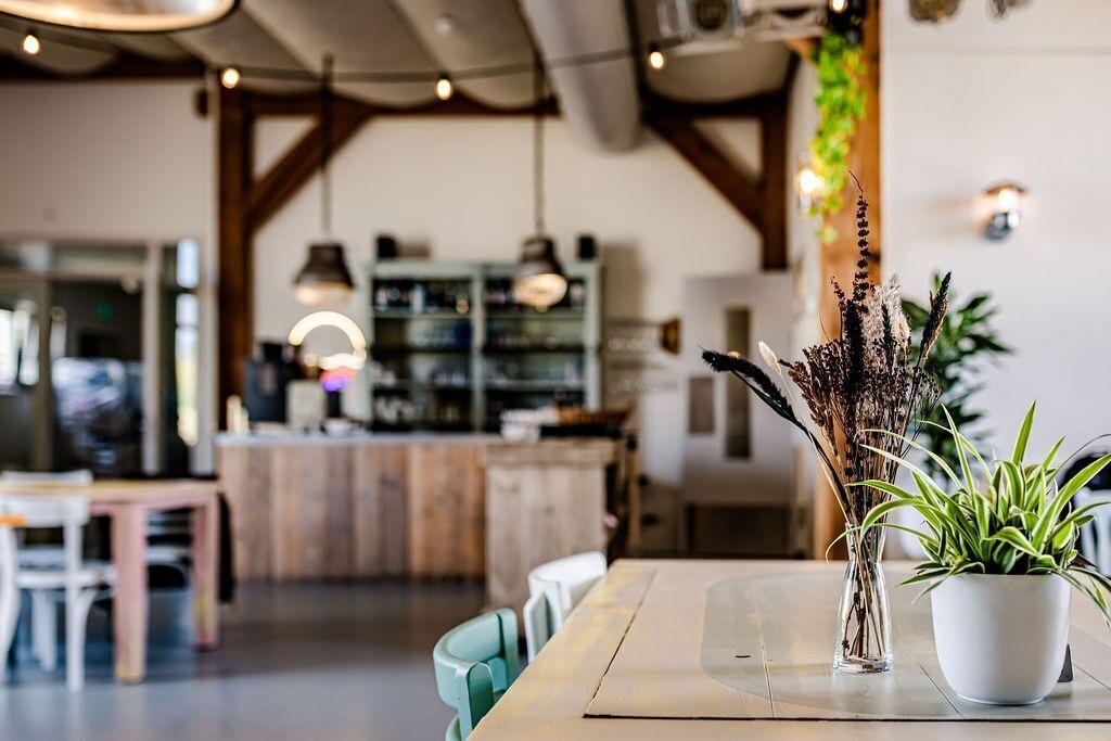Restaurant Tiny Parks Cast Away
