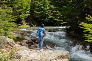 Actividad - Desde Ushuaia: Descubra el Parque Nacional Tierra del Fuego