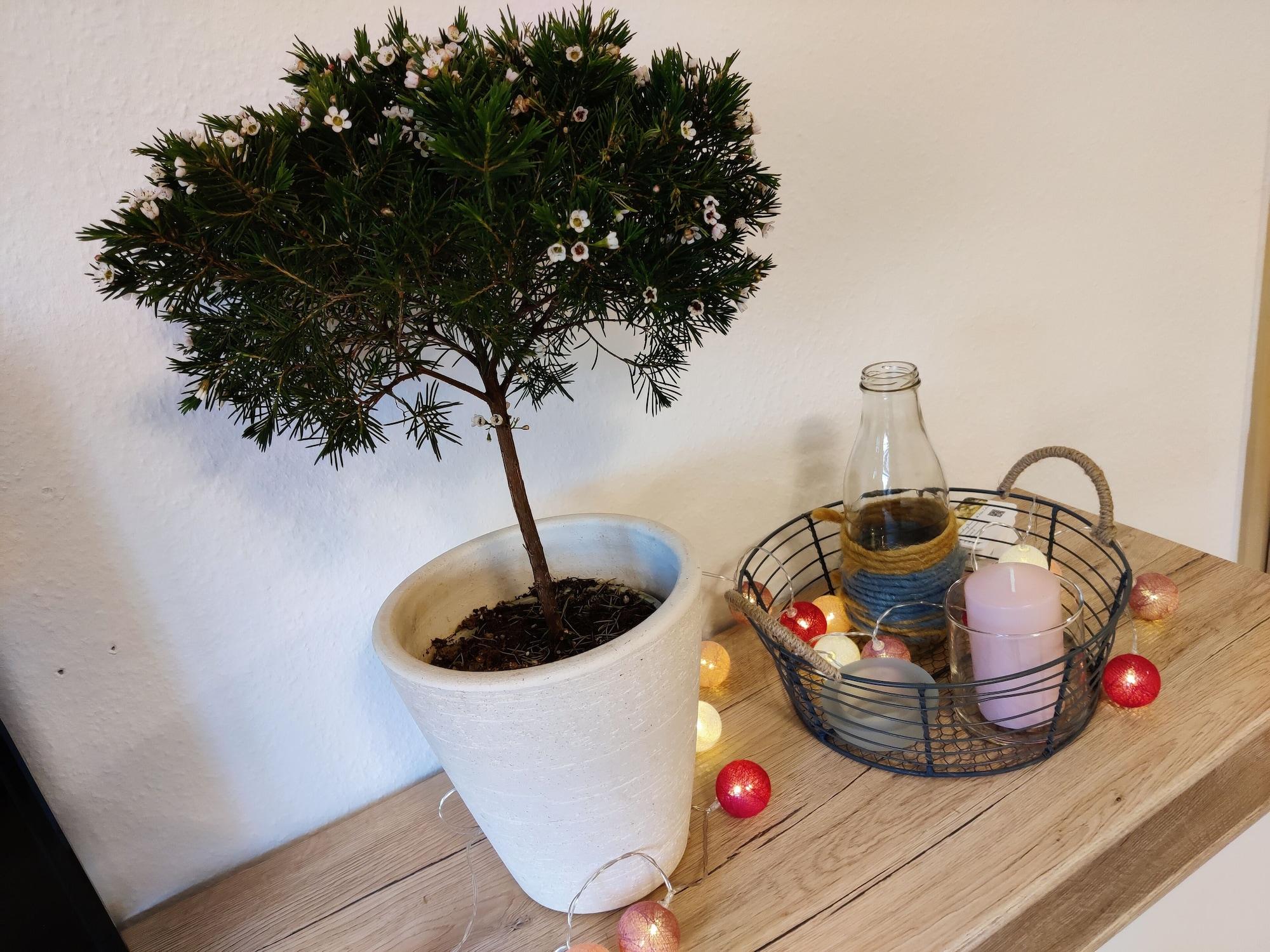 Comodidades del Alojamiento Ferienwohnung Brunow