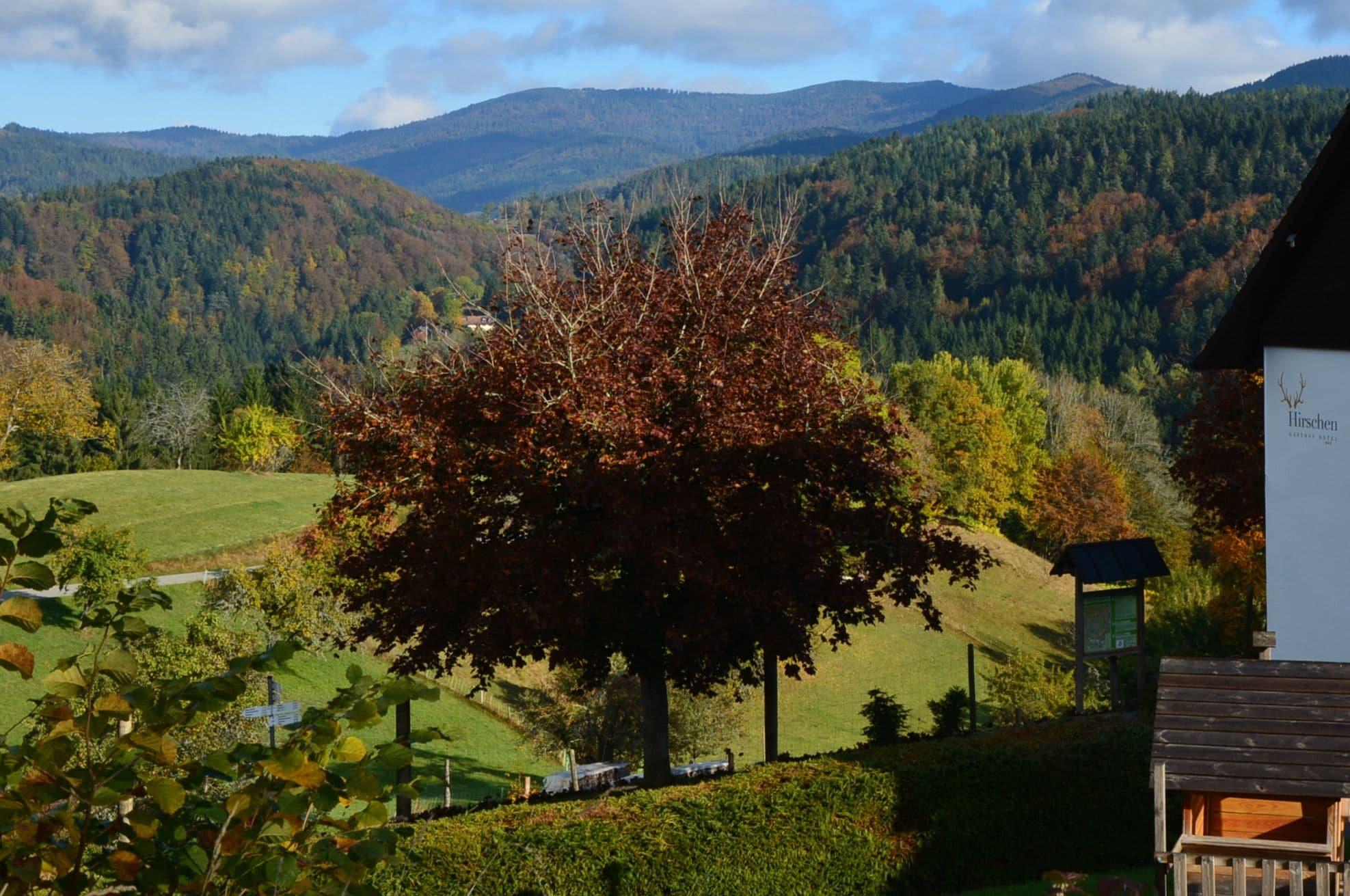 Comodidades del Alojamiento Gasthof Hotel Hirschen