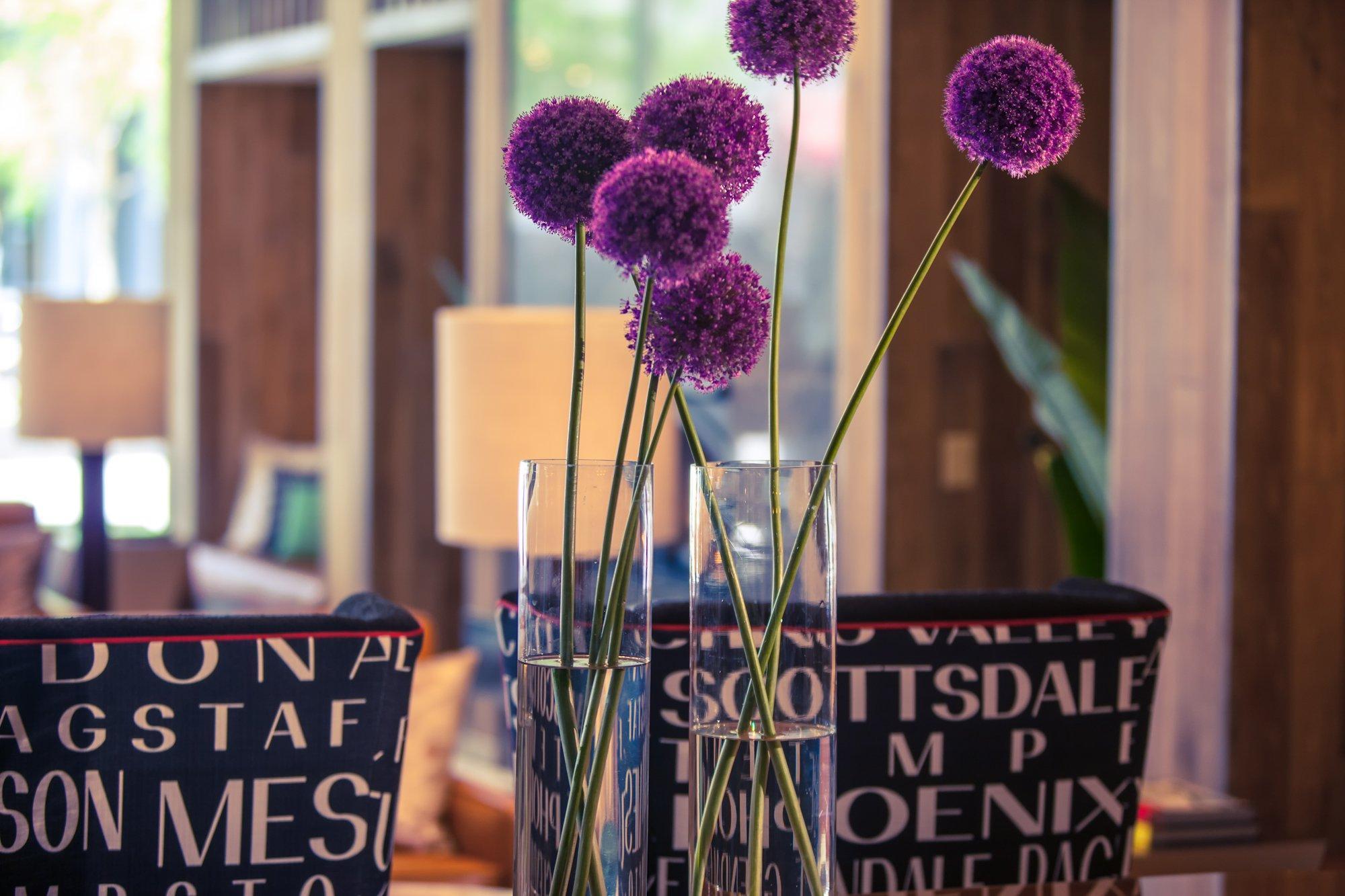 Vista Exterior Kimpton Hotel Palomar Phoenix Cityscape by IHG