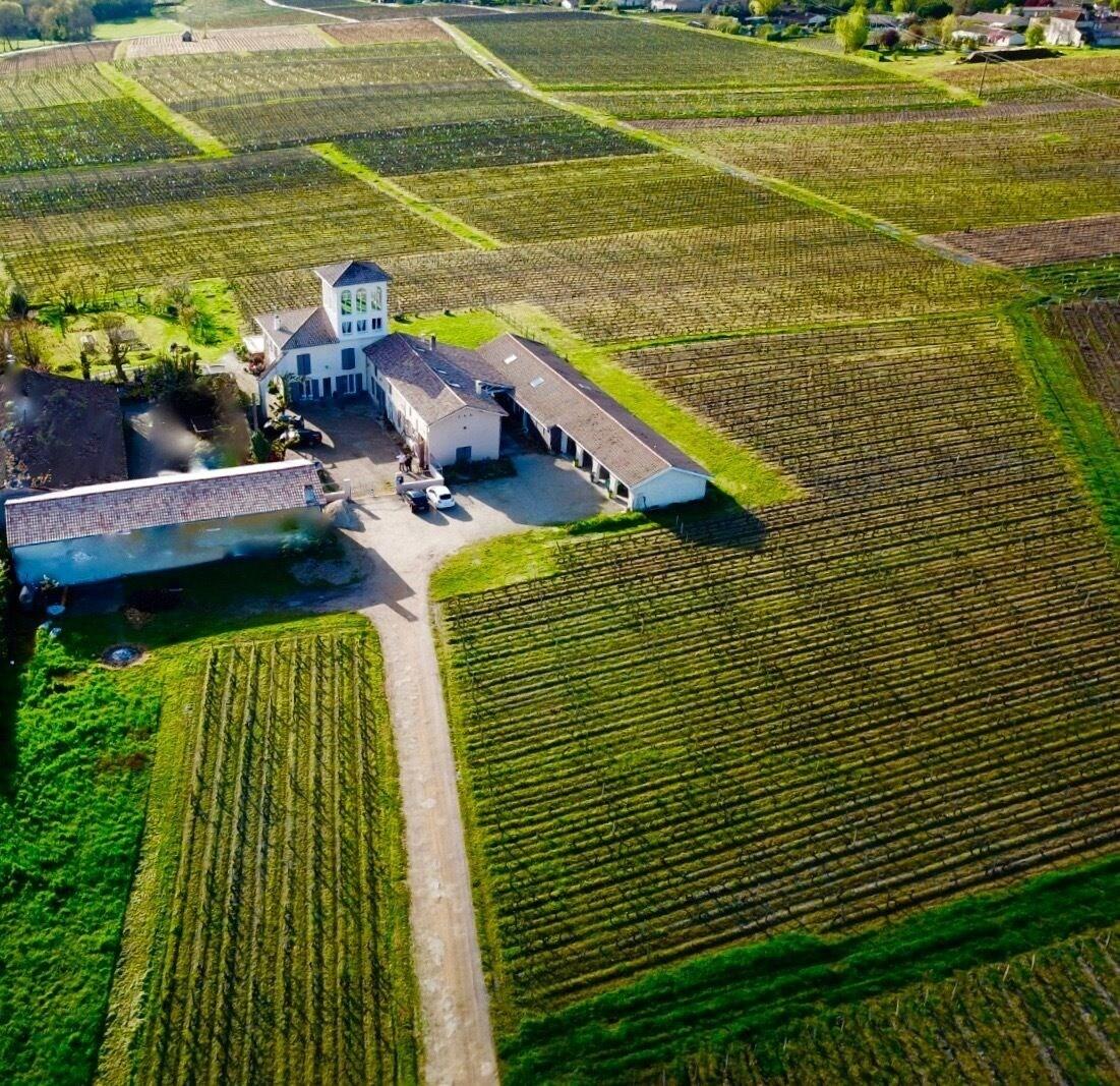 Vista Exterior Chateau Trillon