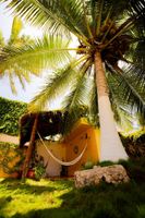 Alojamiento - Flamingos Inn