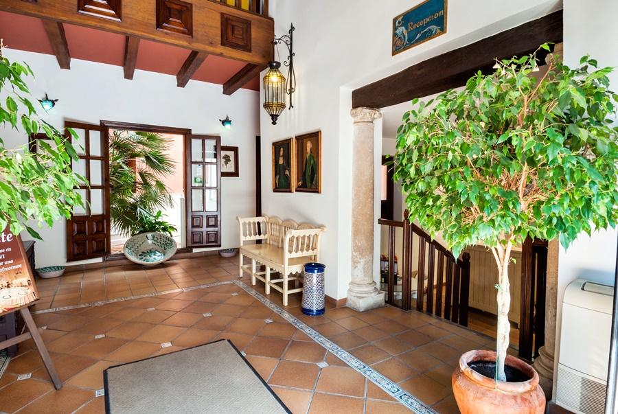 Vista Lobby Domus Selecta Palacio Las Manillas