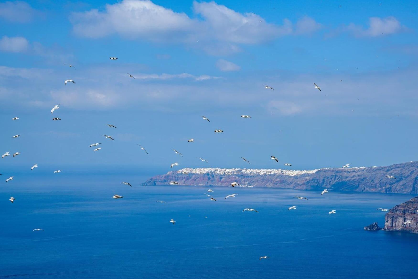 Playa Archontiko Santorini
