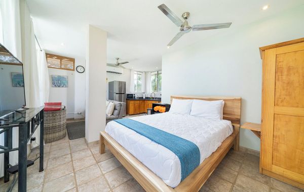 Beachfront Villa Elysian Sol Suite Sleeps 3 - Hoteles pet friendly en Potrero Guanacaste