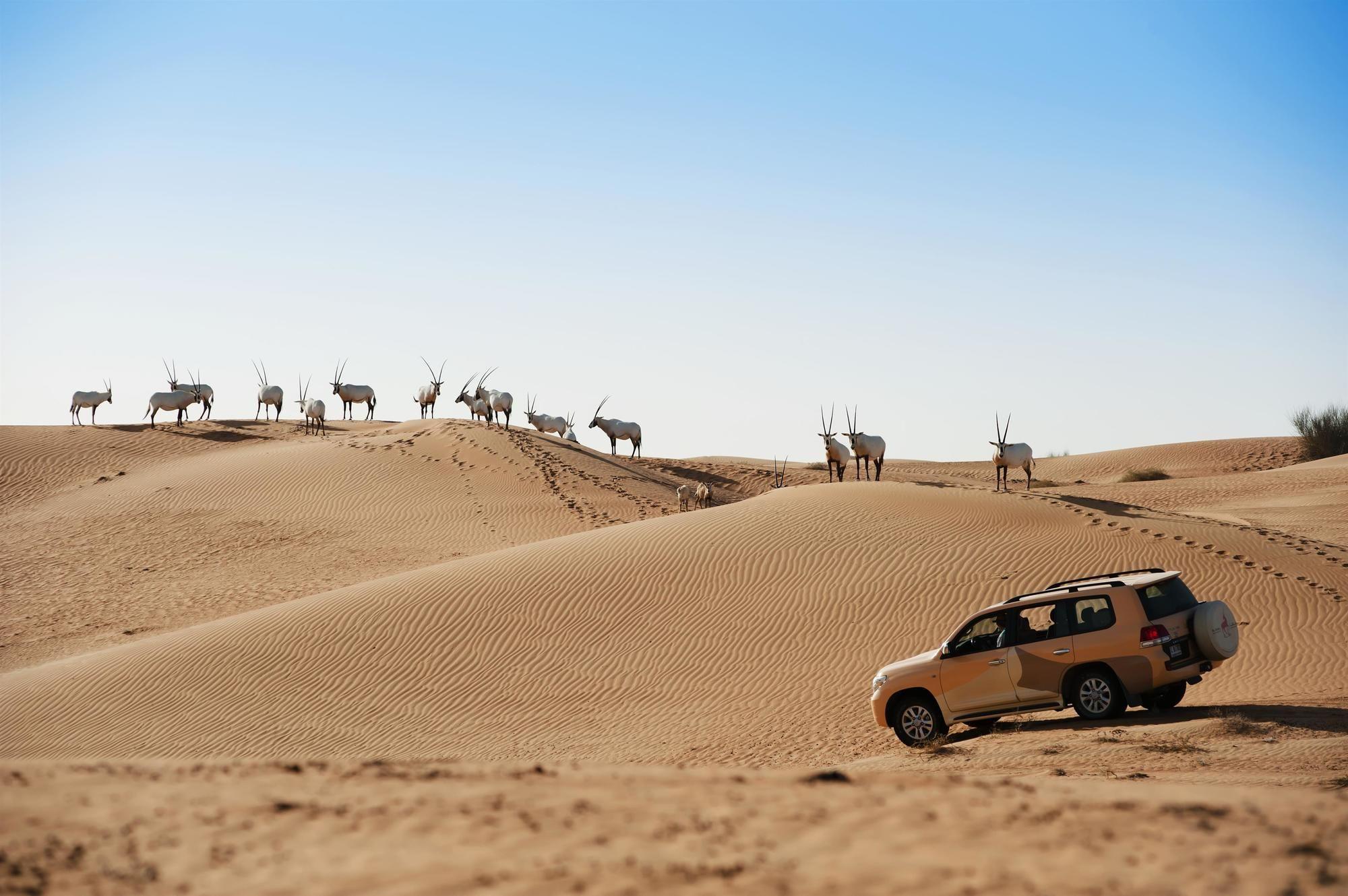 Vista Exterior Al Maha, A Luxury Collection Desert Resort & Spa, Dubai