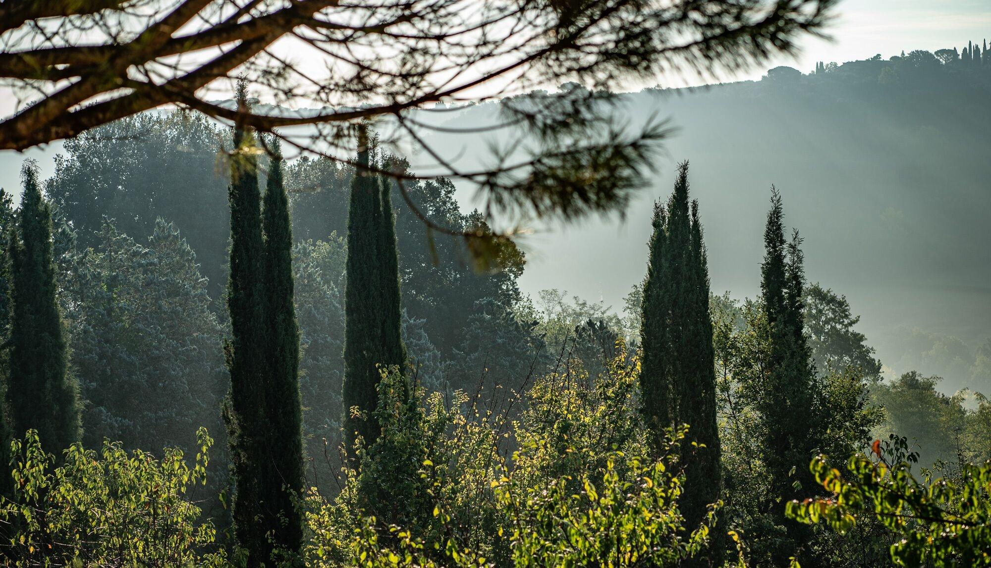 Vista Exterior Torraccia di Chiusi
