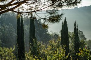 Alojamiento - Torraccia di Chiusi