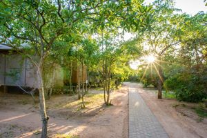 Alojamiento - Nkambeni Safari Camp