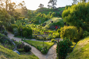 Actividad - Explore Waitomo y Hobbiton desde Auckland hasta Rotorua - Excursión de día completo