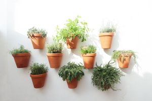 Alojamiento - Lavradores Boutique Guesthouse