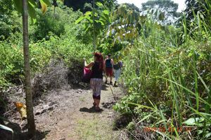 Alojamiento - La Ceiba Ecoadventures