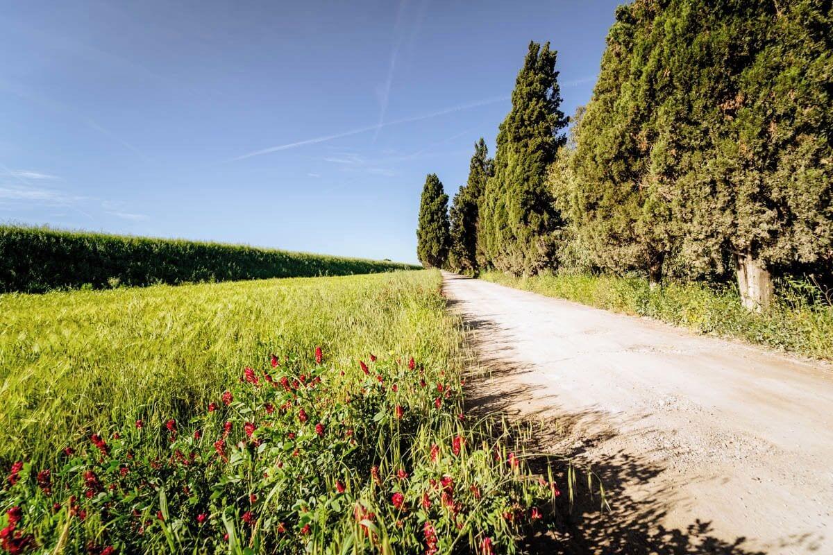 Varios Agriturismo Bio San Mamiliano