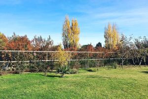 Alojamiento - Hotel Hoja de Parra