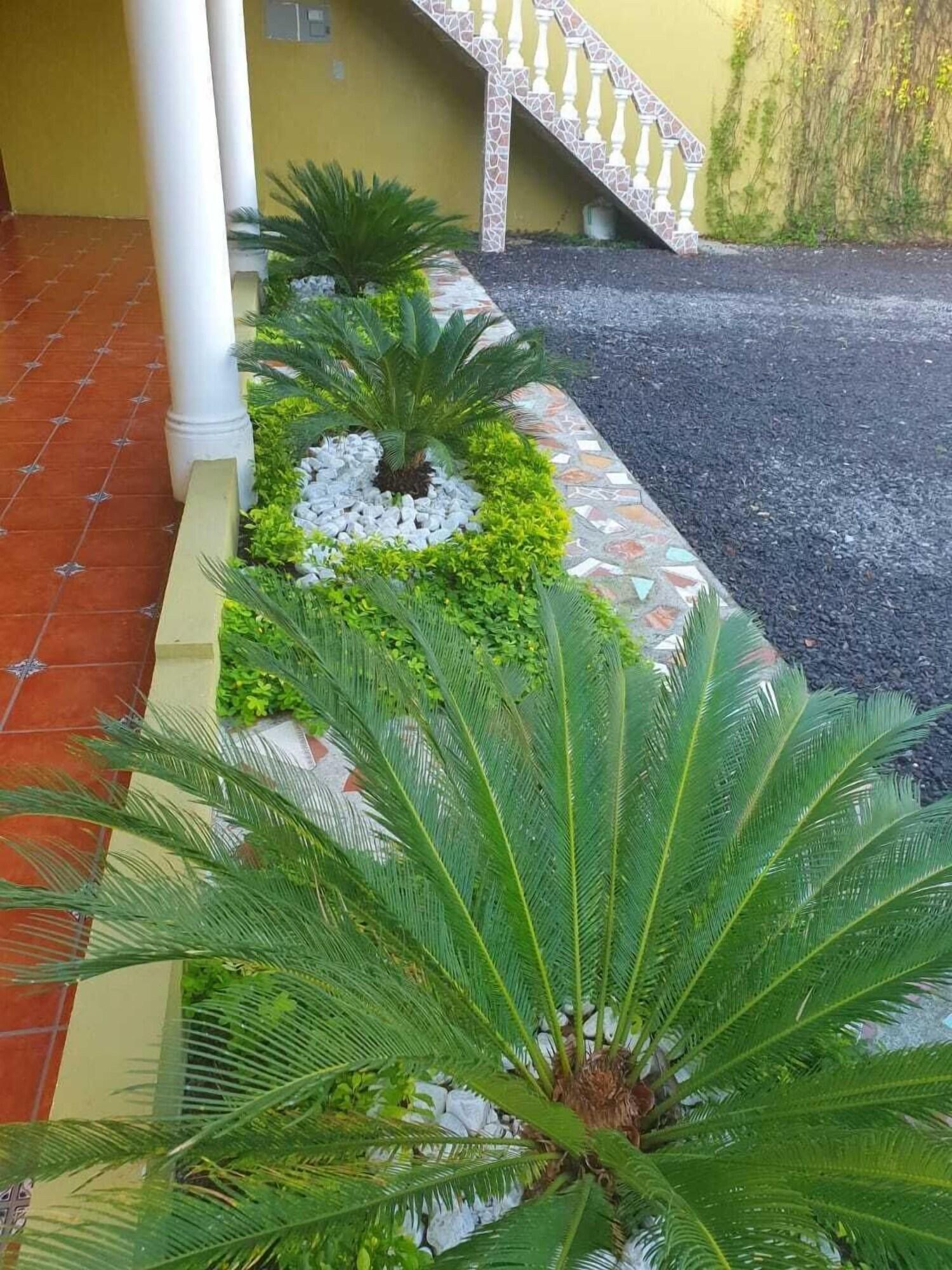 Comodidades del Alojamiento Hotel La Iguana Dorada